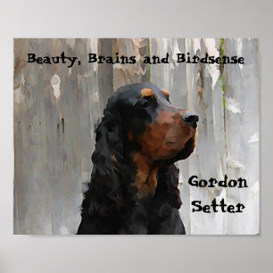 Beauté, Cerveaux et Oiseaux, Poster Gordon Setter