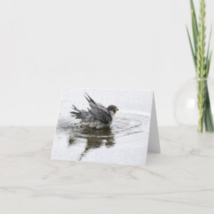 Beauté de bain Note ou Cartes de voeux