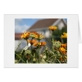 Beauté de décolleté