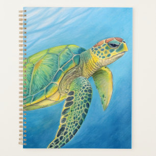 Beauté de la tortue