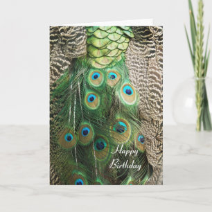 Beauté de paon - carte de voeux d'anniversaire