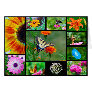 Beauté du printemps