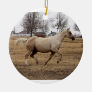 Beauté en mouvement ornement