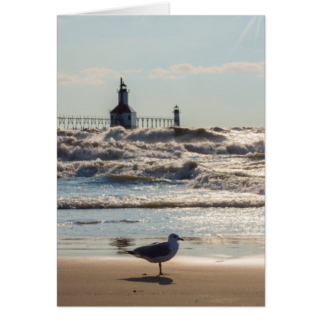 Beauté Et Force (Devant)