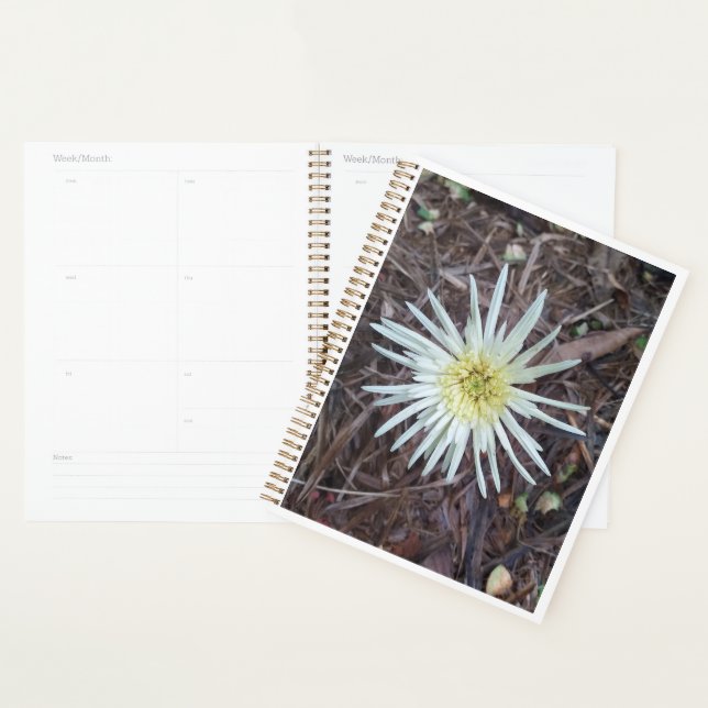 BEAUTÉ FLEURIÈRE POUR LA NATURE AMATEUR CADEAU (Devant avec enveloppe)