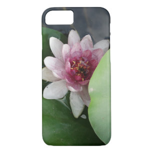 Beauté iPhone / coque ipad