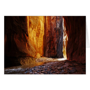 Beauté Le Parc national de la Zion étroite Utah Bl