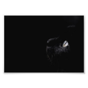 Beauté noire, photo