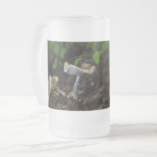 Beauté Poisoneuse Verre Frosted Beer Mug