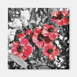 Beauté sélective - Magnet de fleurs d'anémones