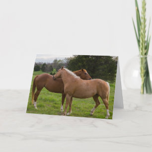 Beauties Card Karte