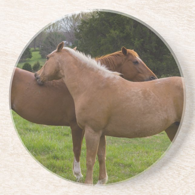 Beauties Getränkeuntersetzer (Vorne)