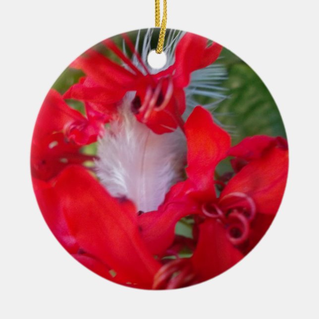 Beautiful Alien Crimson.jpg Keramikornament (Vorne)