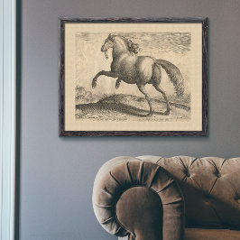 Beautiful Antique Spanish Stallion Elegant Poster