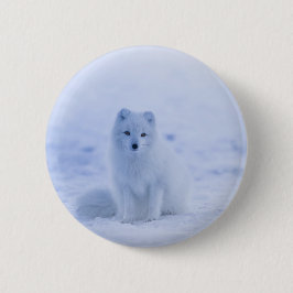 Beautiful Arctic Fox Button