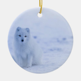 Beautiful Arctic Fox Keramik Ornament
