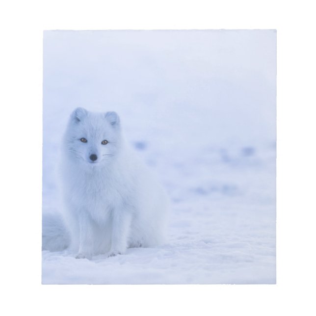Beautiful Arctic Fox Notizblock (Vorderseite)