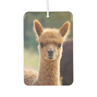 Beautiful Baby Alpaca Air Freshener Autolufterfrischer