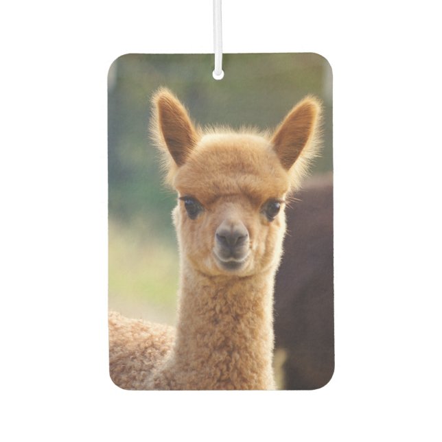 Beautiful Baby Alpaca Air Freshener Autolufterfrischer (Vorderseite)
