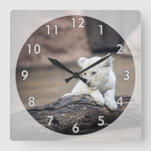 Beautiful Baby White Lion Cub Quadratische Wanduhr