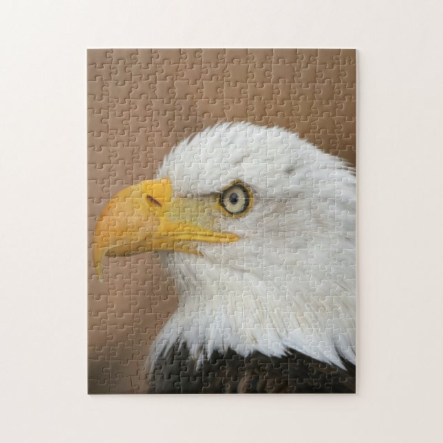 Beautiful Bald Eagle (Vertikal)