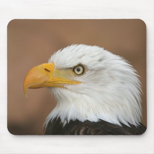 Beautiful Bald Eagle Mousepad (Vorne)