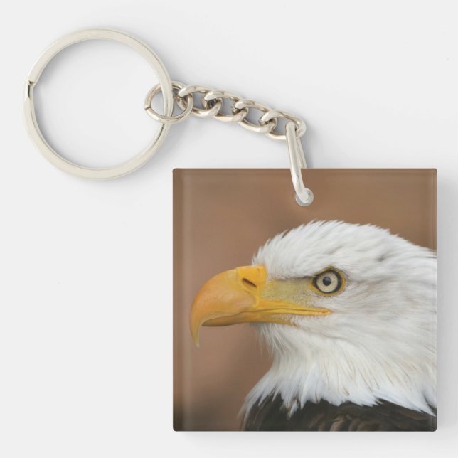Beautiful Bald Eagle Schlüsselanhänger (Vorderseite)