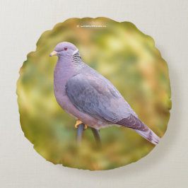 Beautiful Band-Tailed Pigeon in My Backyard Rundes Kissen