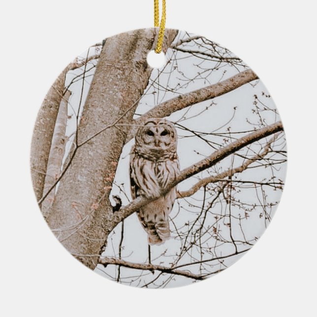 Beautiful Barred Owl Audubon Weihnachten Keramik Ornament (Vorne)