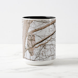 Beautiful Barred Owl Audubon Zweifarbige Tasse