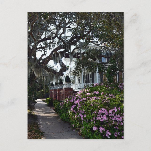 Beautiful Beaufort, South Carolina Postkarte (Vorderseite)