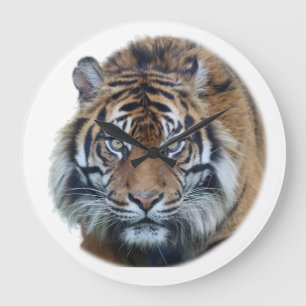 Beautiful Bengal Tiger Face Photo Große Wanduhr