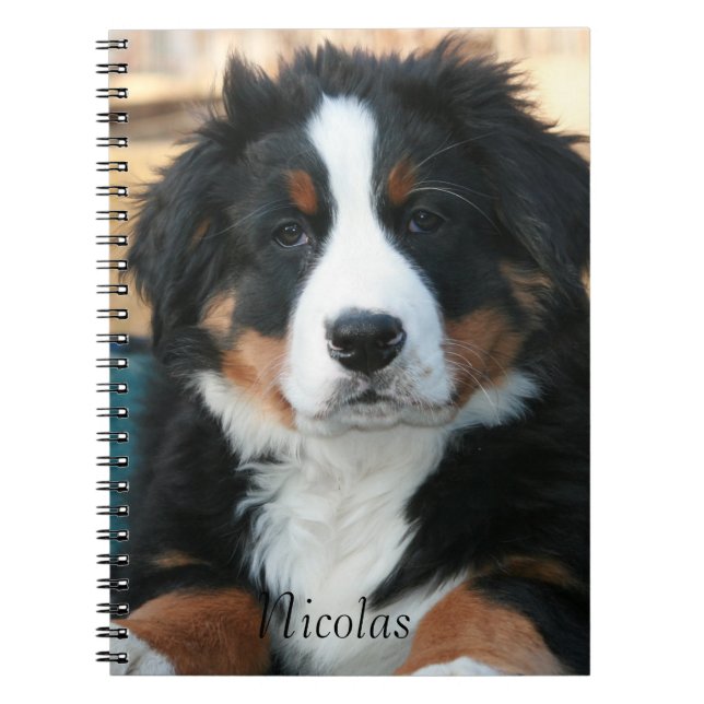 Beautiful Bernese Mountain Dog Notizblock (Vorderseite)