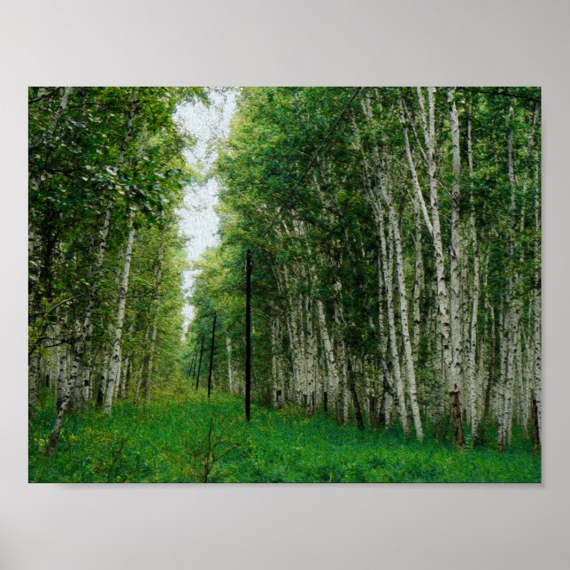 Beautiful Birch Tree Forest Art Poster (Vorne)