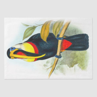 Beautiful Bird Vintag Toucan Seidenpapier