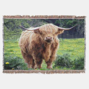 Beautiful Bison Decke