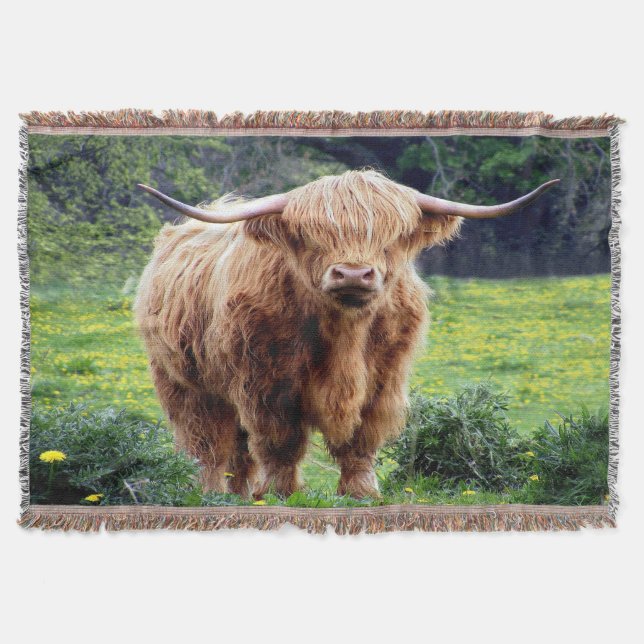 Beautiful Bison Decke (Vorderseite)
