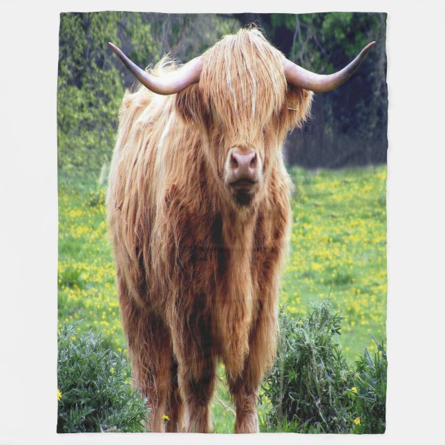 Beautiful Bison Fleecedecke (Vorderseite)