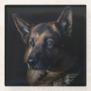 Beautiful Black and Tan German Shepherd Glasuntersetzer
