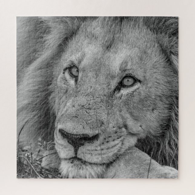 Beautiful Black and White Lion Face (Vertikal)