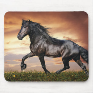 Beautiful Black Horse Mousepad