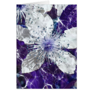 Beautiful Blossom Flower