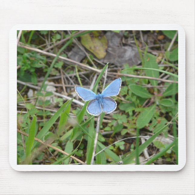 Beautiful Blue Butterfly Mousepad (Vorne)