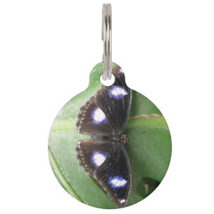 Beautiful Blue Gepunktet Butterfly Custom Dog Tag Haustiermarke