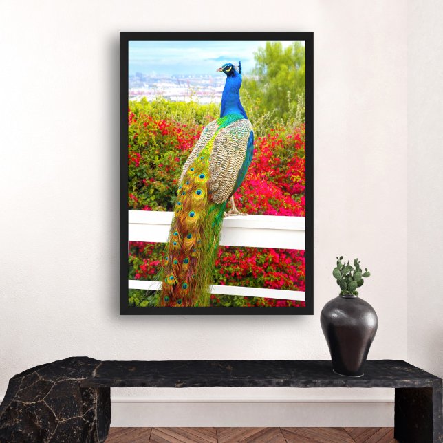 Beautiful Blue Green Peacock Photo Stylish Modern Poster (Von Creator hochgeladen)