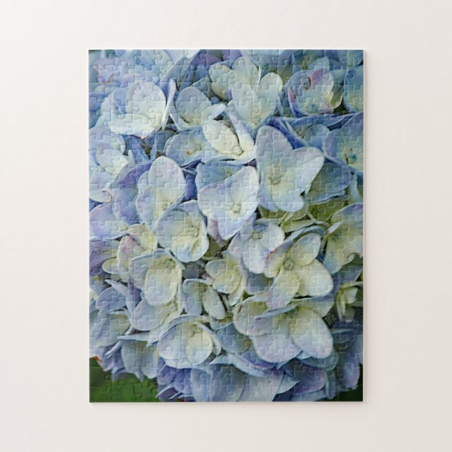 Beautiful Blue Hydrangea Blume Foto (Vertikal)