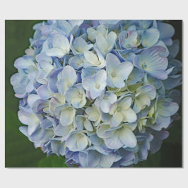 Beautiful Blue Hydrangea Blume Foto Geschenkpapier