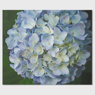 Beautiful Blue Hydrangea Blume Foto Geschenkpapier