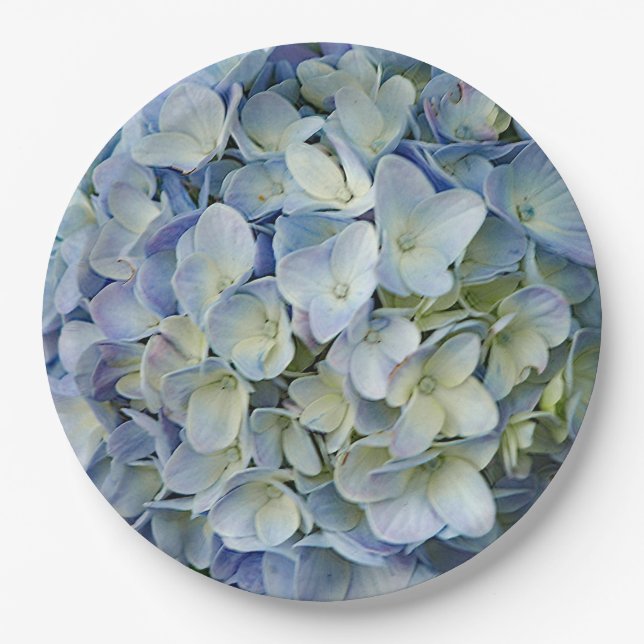 Beautiful Blue Hydrangea Blume Foto Pappteller (Vorderseite)
