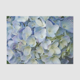 Beautiful Blue Hydrangea Blume Foto Seidenpapier